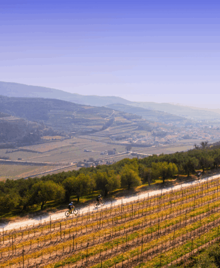 Granfondo Tre Valli, Verona