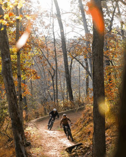 Vittoria, Trail, gamma Trail, mtb, e-mtb