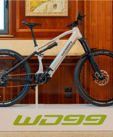 Il nuovo modello Forest