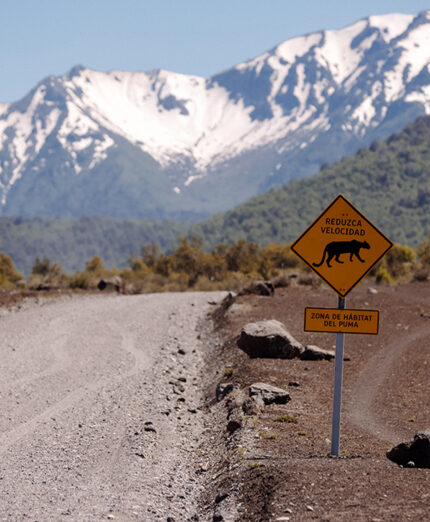Il cartello è un po' inquietante, ma per fortuna il puma non si farà vedere (foto Aurum)
