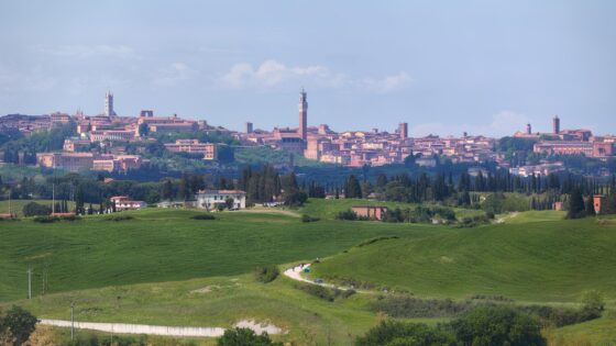 Ciclogustando, siena, strade bianche