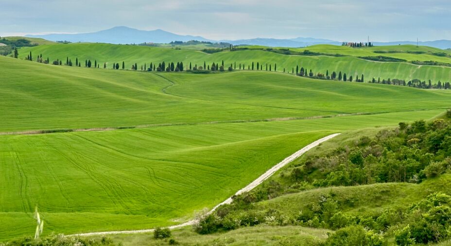 Ciclogustando, toscana, strade bianche