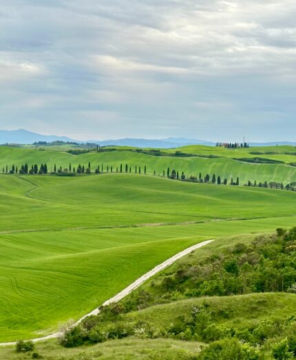 Ciclogustando, toscana, strade bianche