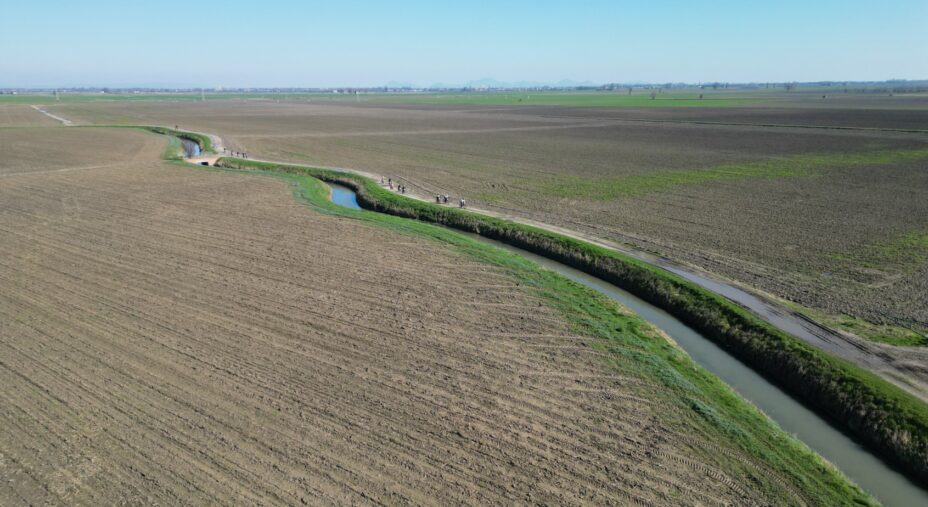 Piase Gravel, pianura veronese, strada bianca