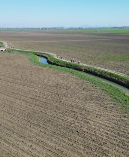 Piase Gravel, pianura veronese, strada bianca