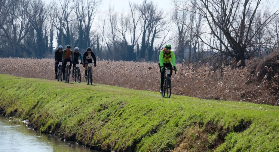 Piase Gravel, pianura veronese, argine del fiume, erba, prato