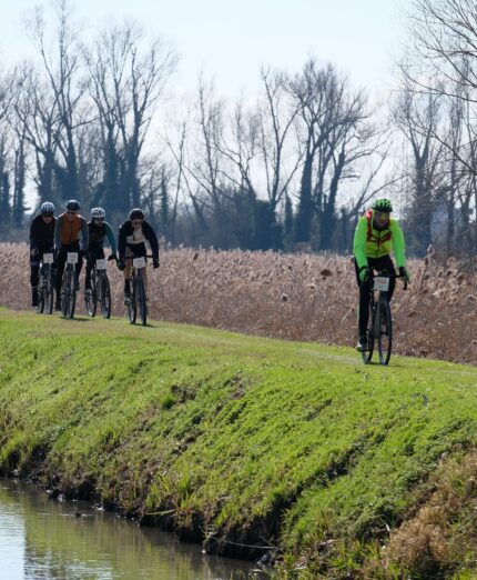 Piase Gravel, pianura veronese, argine del fiume, erba, prato