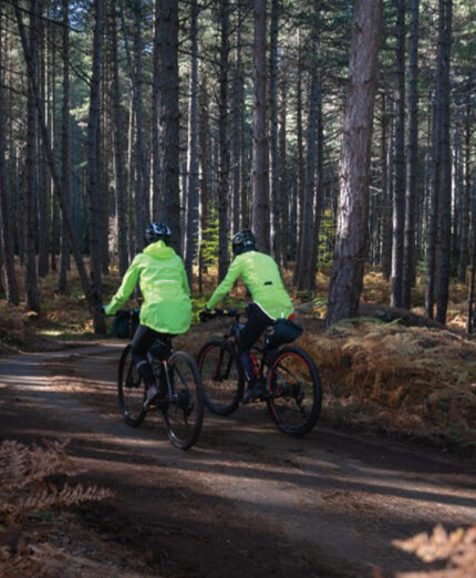 Nel cuore dei boschi dell'Aspromonte, quarto dei parchi toccati dalla Ciclovia (foto Vigliotti)