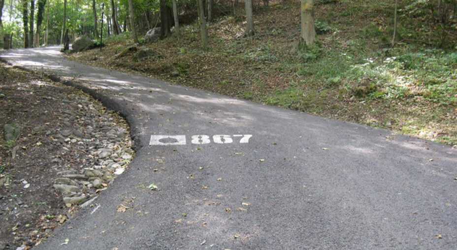 Da inizio a fine salita, sull'asfalto è indicata, metro dopo metro, l'altitudine della strada (foto Saltainsella.it)