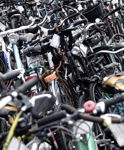 Selle Royal fornisce a Piedelibero una vasta gamma di selle, con piccoli difetti, non commercializzabili ma asssolutamente efficienti