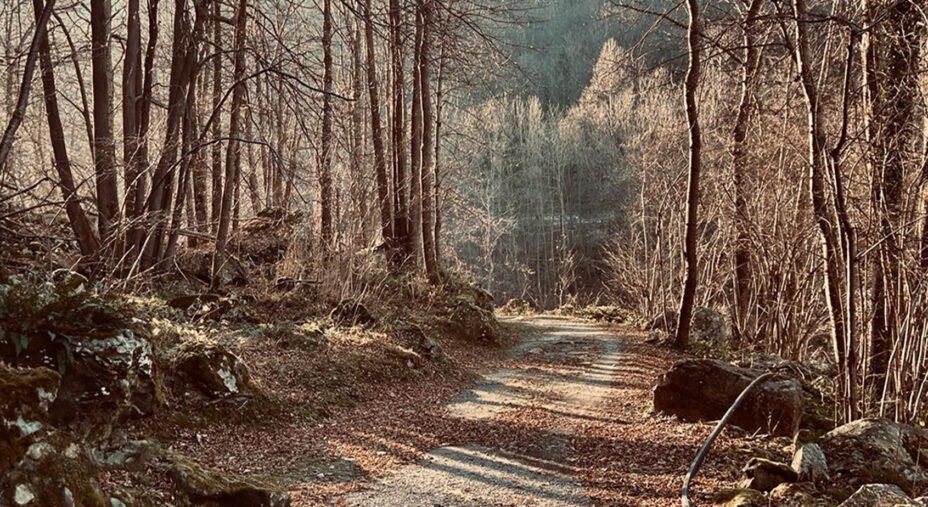I fondi assegnati alla Ciclovia della Val Tanaro serviranno alla sua ristrutturazione e crescita di lunghezza