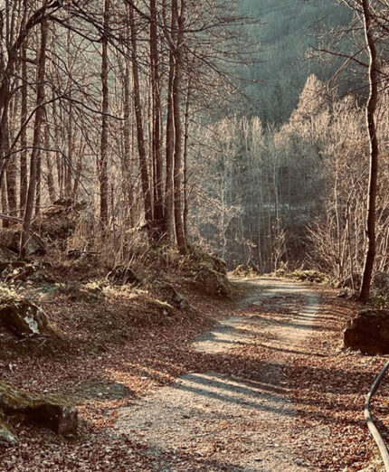 I fondi assegnati alla Ciclovia della Val Tanaro serviranno alla sua ristrutturazione e crescita di lunghezza