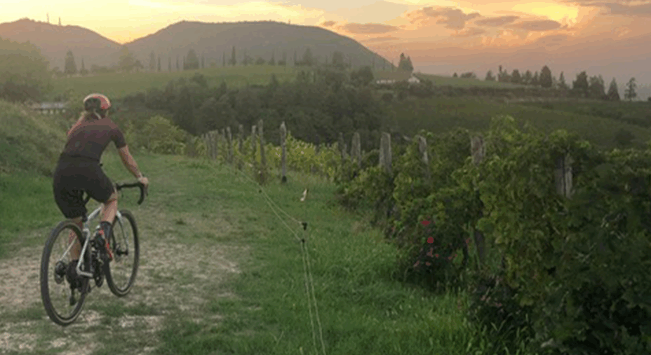 Colli Euganei The Wild Woods