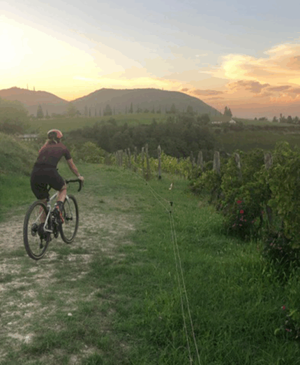 Colli Euganei The Wild Woods