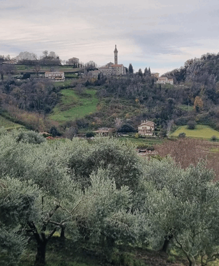 Colli Euganei The Wild Woods