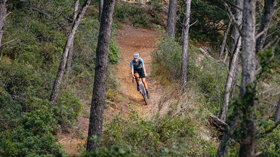 Schwalbe G-One R, serie completa e per tutte le esigenze