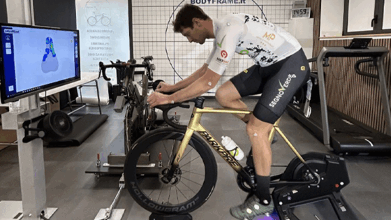 Biomeccanica, ginocchio