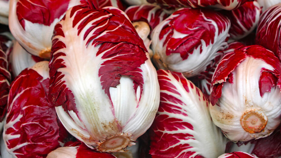 Alimentazione, radicchio, verdura (depositphotos.com)