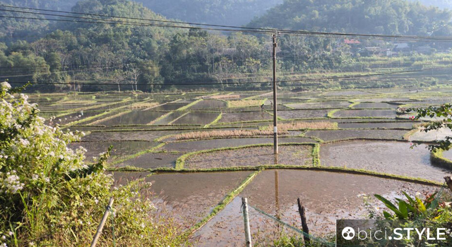 Il paesaggio è certamente diverso da ogni scenario cui siamo abituati. Queste le classiche risaie