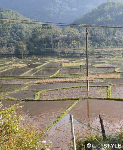 Il paesaggio è certamente diverso da ogni scenario cui siamo abituati. Queste le classiche risaie