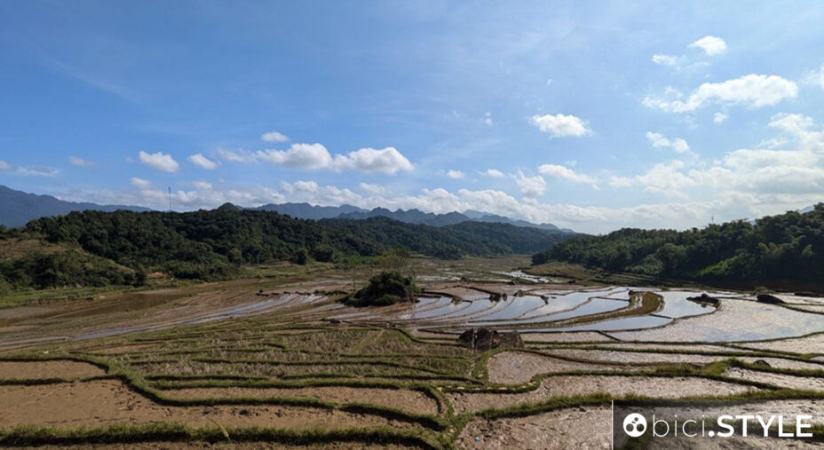 Le risaie sono il tratto distintivo di questa parte del Vietnam, visto finora in mille film