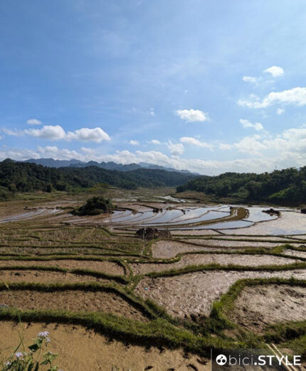 Le risaie sono il tratto distintivo di questa parte del Vietnam, visto finora in mille film