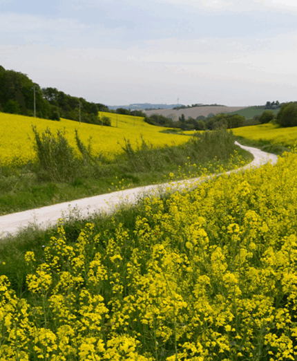 Italia coast to coast