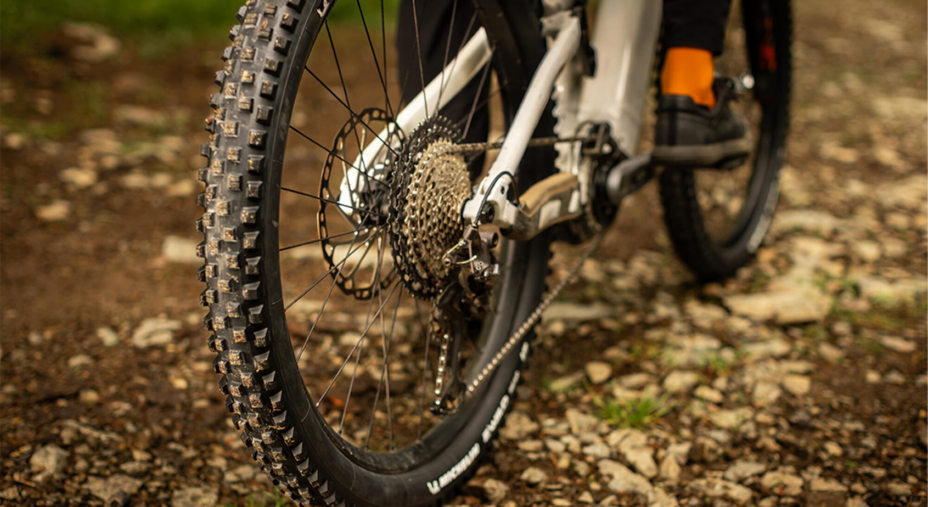 Wild Enduro Performance Line e E-Wild Performance Line