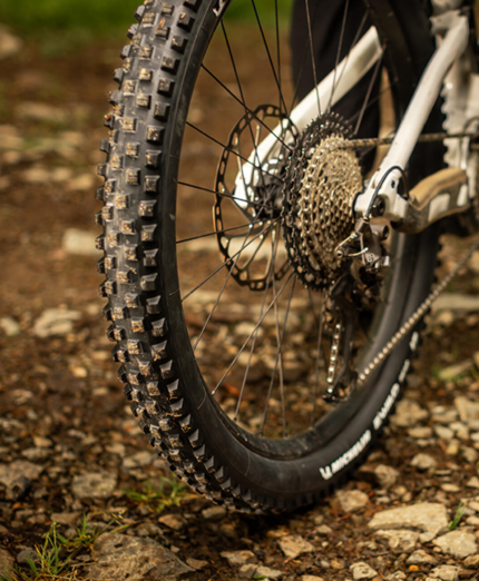 Wild Enduro Performance Line e E-Wild Performance Line