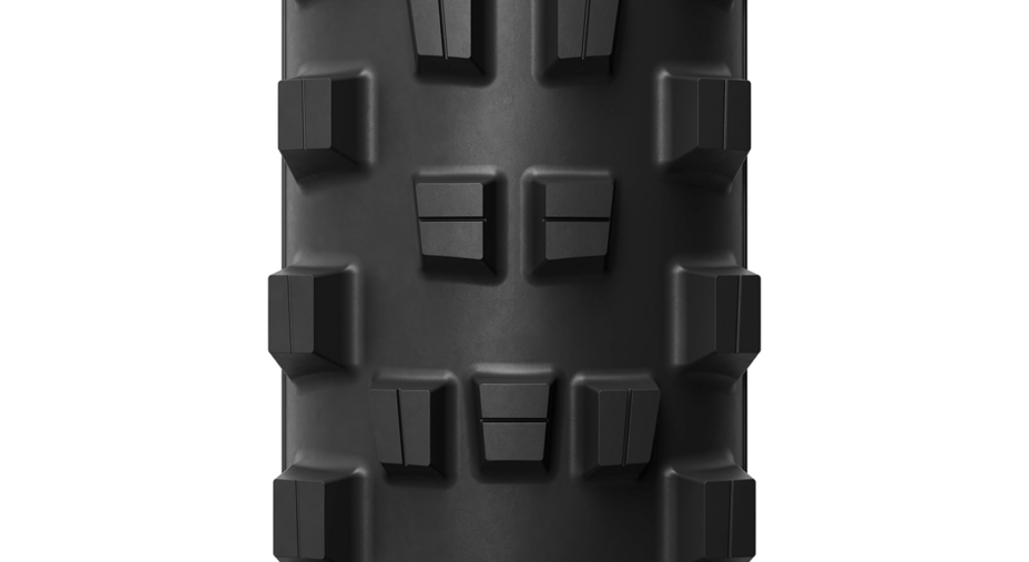 Wild Enduro Performance Line e E-Wild Performance Line