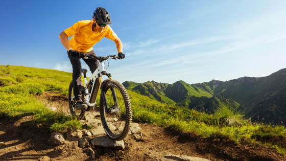 Wild Enduro Performance Line e E-Wild Performance Line