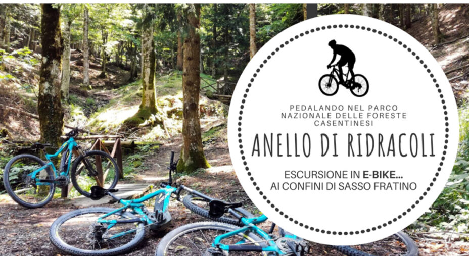 A luglio I Percorsi del Savio proporrà nuovamente la sua experience di 3 giorni con 2 escursioni sull'Anello