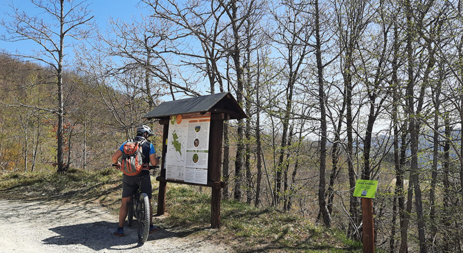L’Anello di Ridracoli, il percorso più amato perché sempre diverso