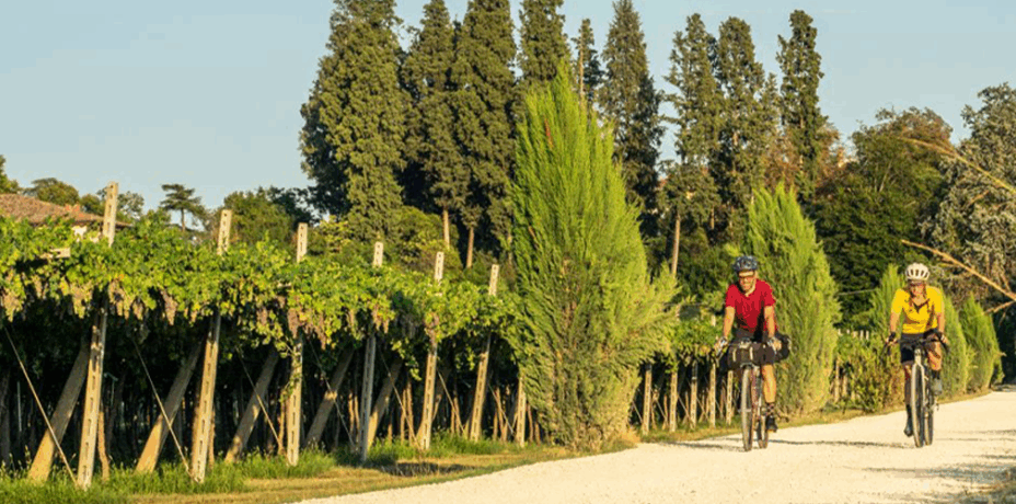 Strada del Vino Valpolicella
