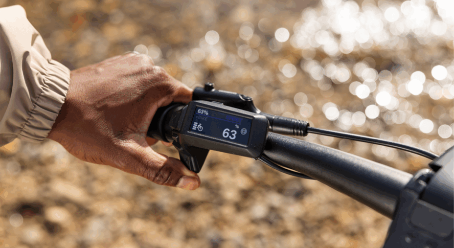 I comandi sul manubrio rendono facile e immediata la gestione dell'assistenza del motore