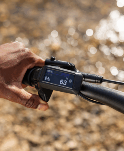 I comandi sul manubrio rendono facile e immediata la gestione dell'assistenza del motore