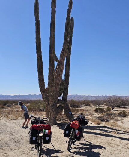 Biri Bikerando cavalletto telescopico, cicloviaggio, borse