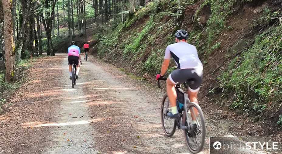 Giro del Mito Bagno di Romagna, Toscana, Emilia-Romagna, Foreste Casentinesi