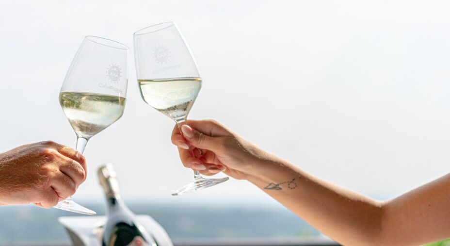 Ca' del Poggio prosecco Veneto