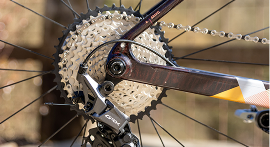 Grandurance 10 di Bergamont