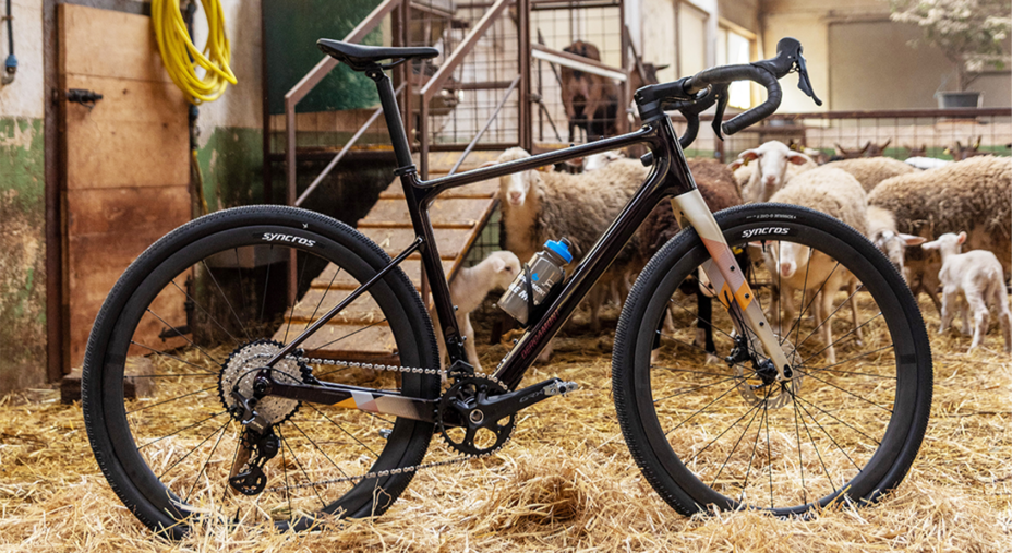 Grandurance 10 di Bergamont