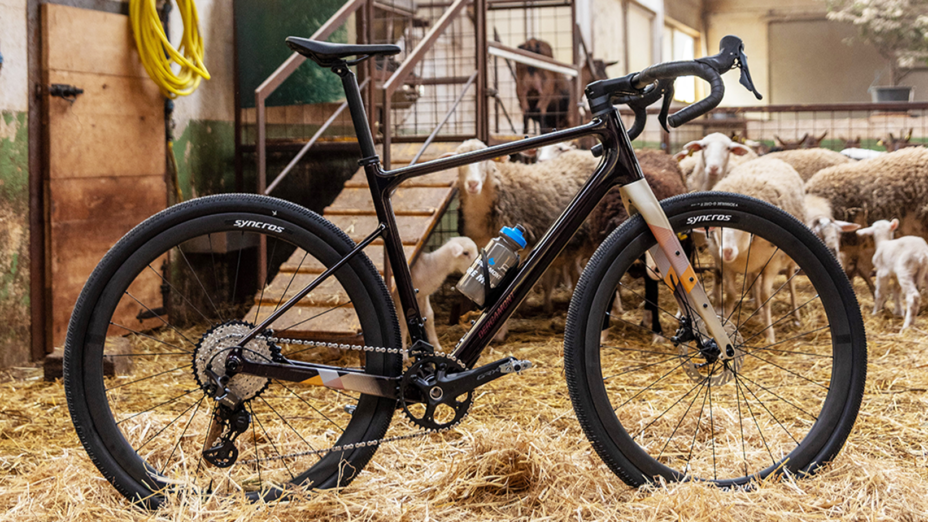 Grandurance 10 di Bergamont