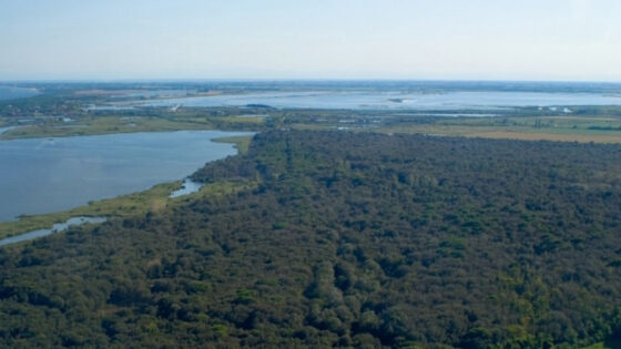 Bicicletteria del Po, uno strumento ideale per appropriarsi del Delta…