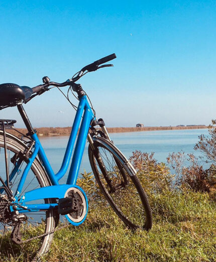 La Bicicletteria del Po fa parte di una struttura più ampia, che comprende vari servizi legati al Delta