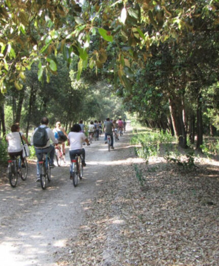 Il mercato di Aqua Bikery è principalmente italiano, allestendo soggiorni ed escursioni giornaliere