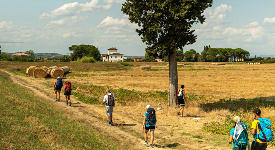 La percorrenza della Francigena è per l'85 per cento a piedi, il resto in bici, ma è in aumento (foto Viefrancigene)