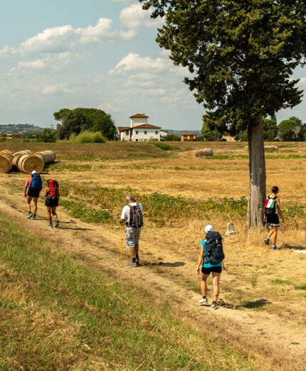 La percorrenza della Francigena è per l'85 per cento a piedi, il resto in bici, ma è in aumento (foto Viefrancigene)