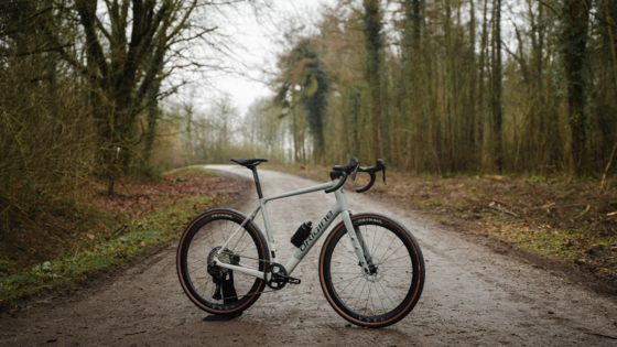 Newton[e] GR di Origine