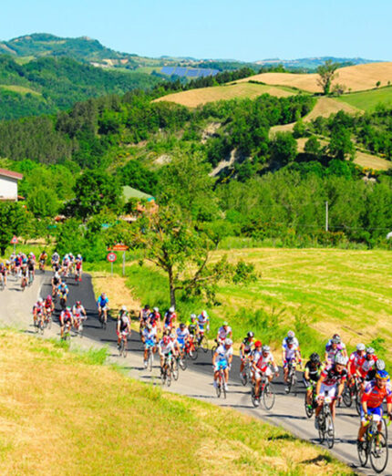 Il Barbotto è la salita per eccellenza della Nove Colli, con un lungo serpentone sui suoi tornanti