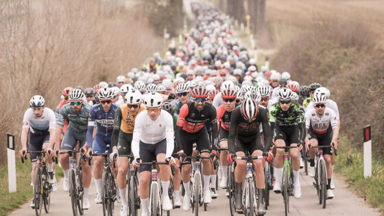 Re Artù ancora sul gradino più alto del podio alla Strade Bianche Estra